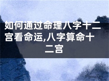 如何通过命理八字十二宫看命运,八字算命十二宫
