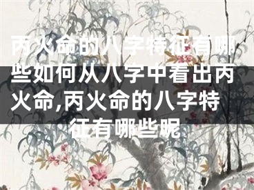 丙火命的八字特征有哪些如何从八字中看出丙火命,丙火命的八字特征有哪些呢