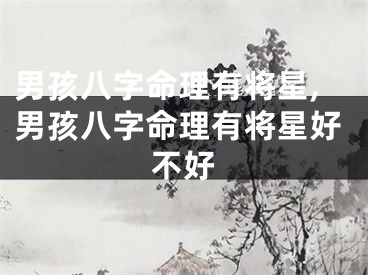 男孩八字命理有将星,男孩八字命理有将星好不好