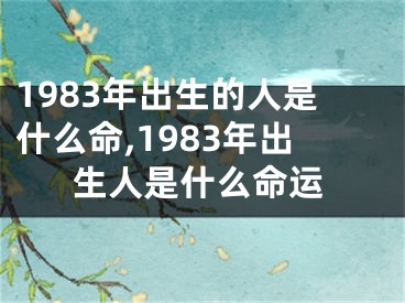 1983年出生的人是什么命,1983年出生人是什么命运