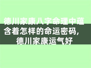 德川家康八字命理中蕴含着怎样的命运密码,德川家康运气好