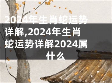 2024年生肖蛇运势详解,2024年生肖蛇运势详解2024属什么