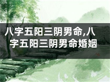 八字五阳三阴男命,八字五阳三阴男命婚姻