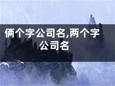 俩个字公司名,两个字 公司名