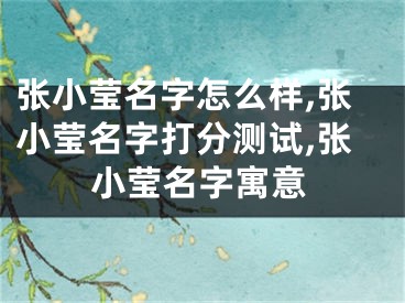 张小莹名字怎么样,张小莹名字打分测试,张小莹名字寓意