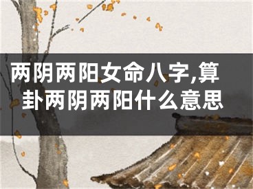 两阴两阳女命八字,算卦两阴两阳什么意思