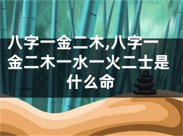 八字一金二木,八字一金二木一水一火二士是什么命