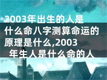 2003年出生的人是什么命八字测算命运的原理是什么,2003年生人是什么命的人