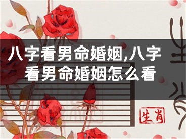八字看男命婚姻,八字看男命婚姻怎么看
