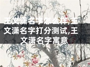 王文潇名字怎么样,王文潇名字打分测试,王文潇名字寓意