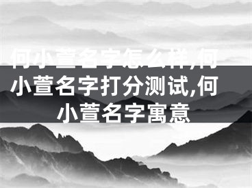 何小萱名字怎么样,何小萱名字打分测试,何小萱名字寓意