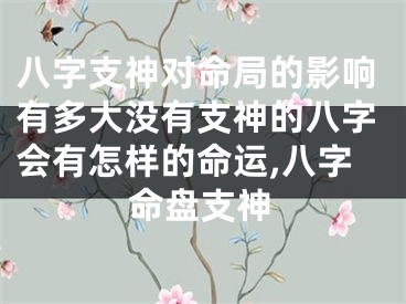 八字支神对命局的影响有多大没有支神的八字会有怎样的命运,八字命盘支神