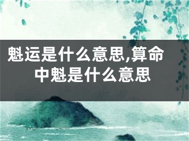 魁运是什么意思,算命中魁是什么意思