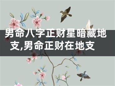 男命八字正财星暗藏地支,男命正财在地支