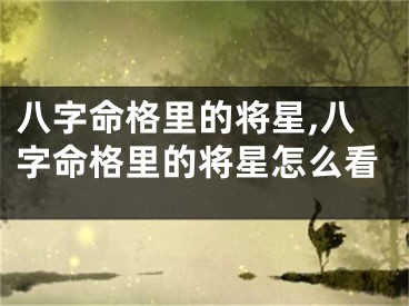 八字命格里的将星,八字命格里的将星怎么看