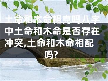土命和木命相克吗八字中土命和木命是否存在冲突,土命和木命相配吗?