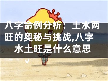 八字命例分析：土水两旺的奥秘与挑战,八字水土旺是什么意思