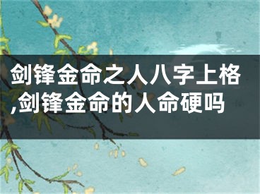 剑锋金命之人八字上格,剑锋金命的人命硬吗