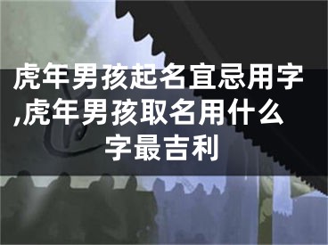 虎年男孩起名宜忌用字,虎年男孩取名用什么字最吉利