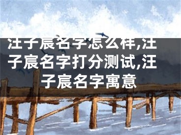 汪子宸名字怎么样,汪子宸名字打分测试,汪子宸名字寓意