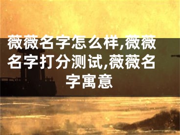 薇薇名字怎么样,薇薇名字打分测试,薇薇名字寓意
