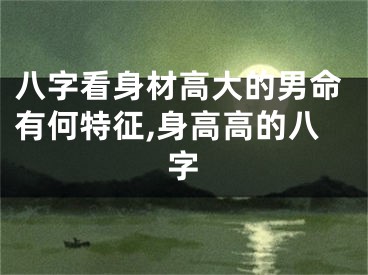 八字看身材高大的男命有何特征,身高高的八字