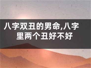 八字双丑的男命,八字里两个丑好不好