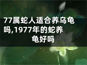 77属蛇人适合养乌龟吗,1977年的蛇养龟好吗