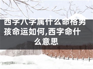西字八字属什么命格男孩命运如何,西字命什么意思