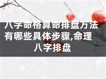 八字命格算命排盘方法有哪些具体步骤,命理八字排盘