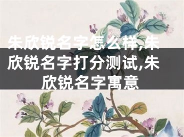 朱欣锐名字怎么样,朱欣锐名字打分测试,朱欣锐名字寓意
