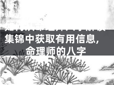 如何从命理师八字解读集锦中获取有用信息,命理师的八字