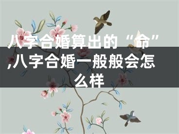 八字合婚算出的“命”,八字合婚一般般会怎么样