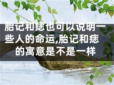 胎记和痣也可以说明一些人的命运,胎记和痣的寓意是不是一样