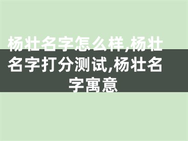 杨壮名字怎么样,杨壮名字打分测试,杨壮名字寓意