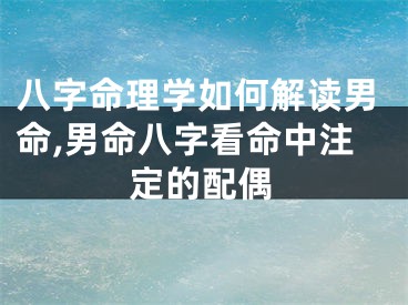 八字命理学如何解读男命,男命八字看命中注定的配偶
