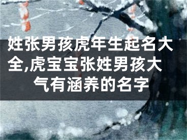 姓张男孩虎年生起名大全,虎宝宝张姓男孩大气有涵养的名字