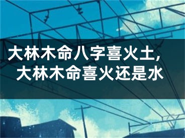 大林木命八字喜火土,大林木命喜火还是水