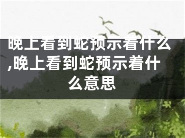 晚上看到蛇预示着什么,晚上看到蛇预示着什么意思