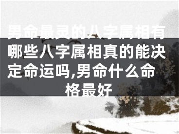 男命最灵的八字属相有哪些八字属相真的能决定命运吗,男命什么命格最好