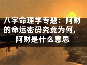 八字命理学专题：阿财的命运密码究竟为何,阿财是什么意思