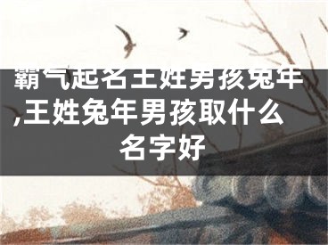 霸气起名王姓男孩兔年,王姓兔年男孩取什么名字好