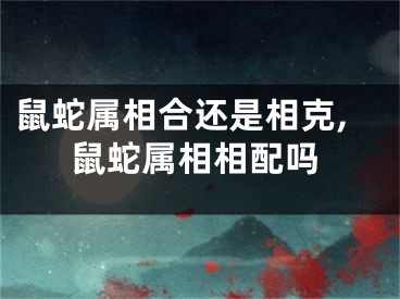 鼠蛇属相合还是相克,鼠蛇属相相配吗