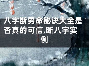 八字断男命秘诀大全是否真的可信,断八字实例