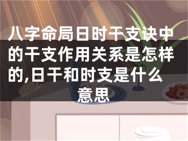 八字命局日时干支诀中的干支作用关系是怎样的,日干和时支是什么意思