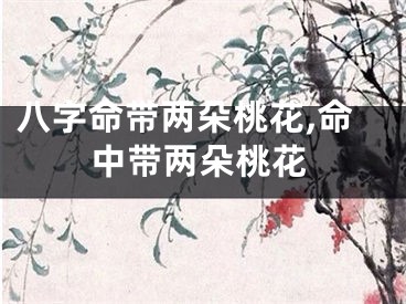 八字命带两朵桃花,命中带两朵桃花