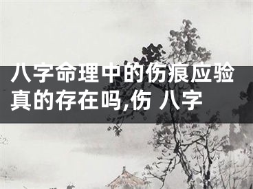 八字命理中的伤痕应验真的存在吗,伤 八字