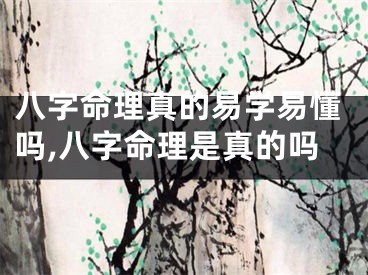 八字命理真的易学易懂吗,八字命理是真的吗