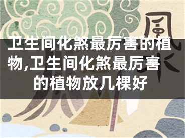 卫生间化煞最厉害的植物,卫生间化煞最厉害的植物放几棵好