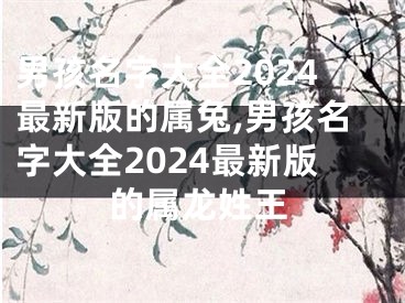 男孩名字大全2024最新版的属兔,男孩名字大全2024最新版的属龙姓王